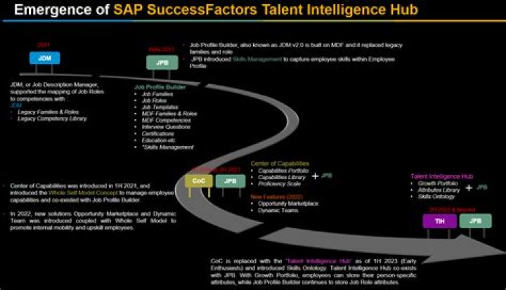 A Behind-the-Scenes Exploration Of Talent And Success