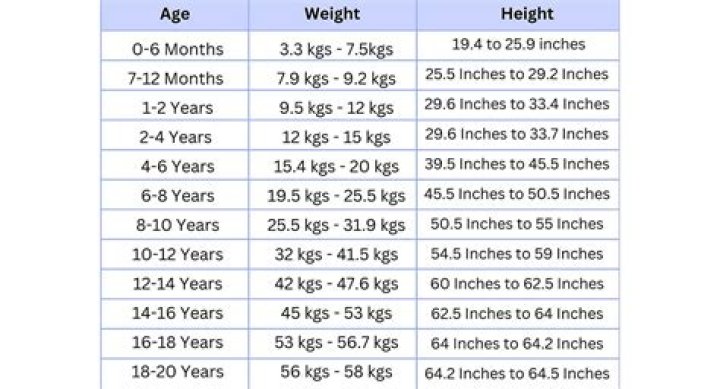 A Comprehensive Overview Of Height, Weight, Age, And Net Worth