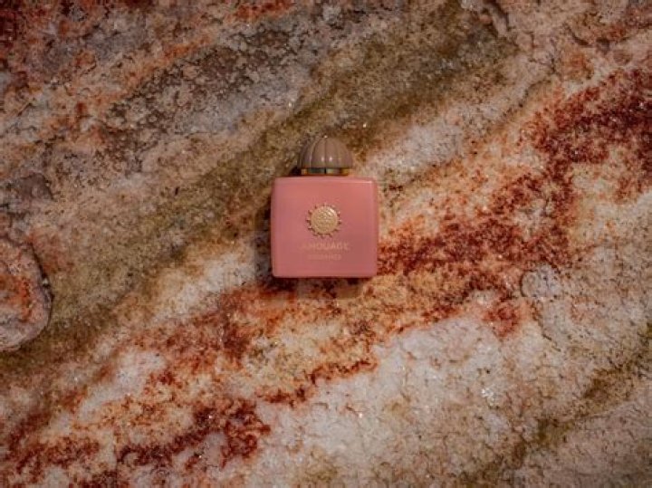 A Deep Dive Into The Enigma Of "El Porco