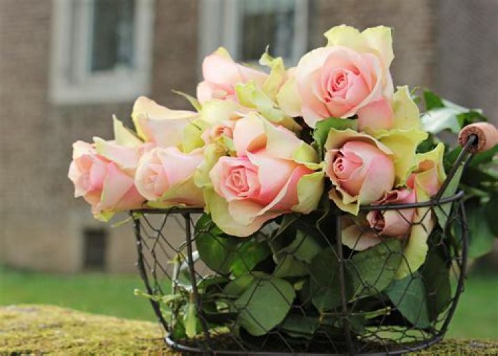 A Home Where Love Blossomed