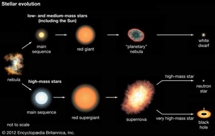 A Journey Into Stellar Evolution And Cosmic Discovery
