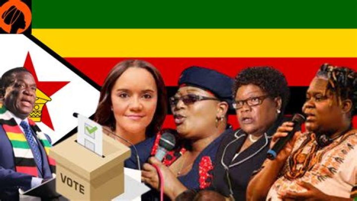 A Journey Into Zimbabwean Politics And Power