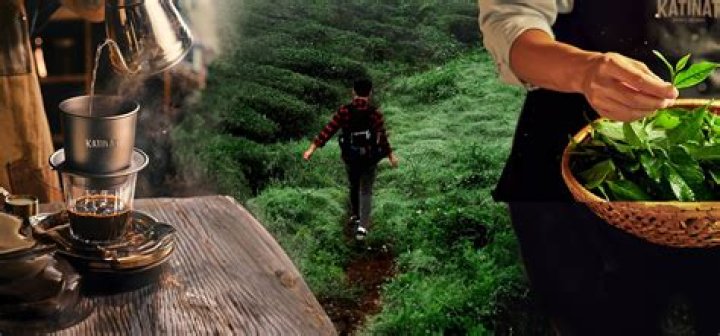 A Journey To Discover Her Net Worth And Inspiring Success