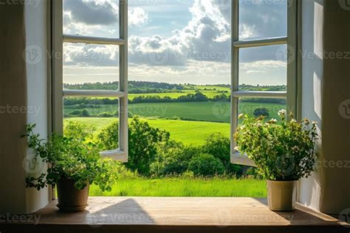 A Window Into A Remarkable Life