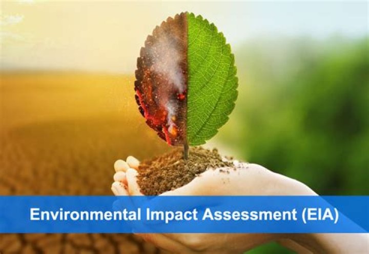 Age, Agency, And Environmental Impact
