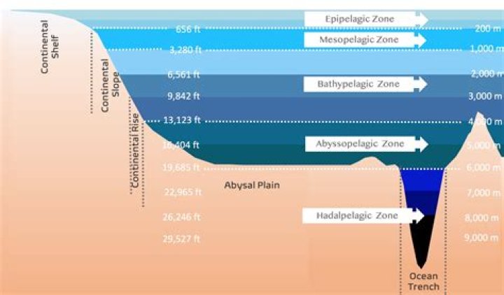 An In-Depth Exploration For "andi19" Enthusiasts