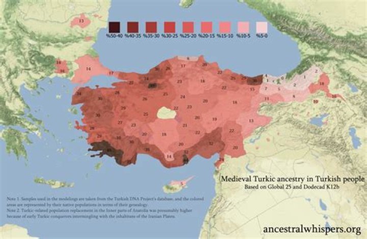Are the Turks Turkic? Exploring a Rich Heritage and Diverse Meanings