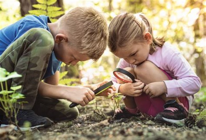 Christie Sides Children: Exploring the Private Side of a Public Figure