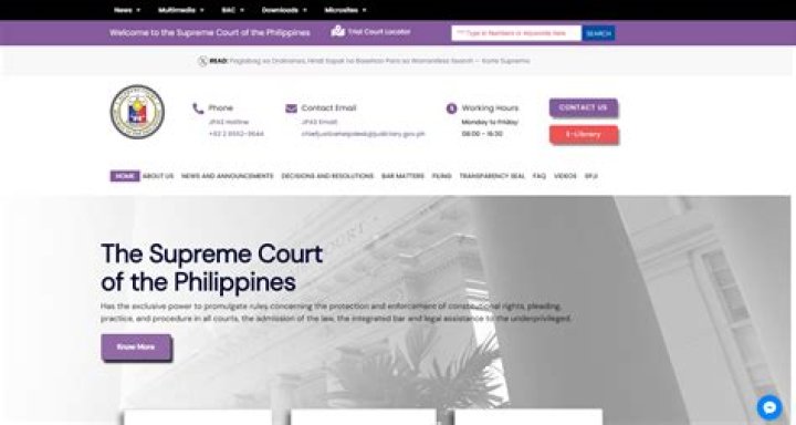 Court's Decision Unlocks Democratic Insights