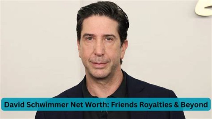 David Schwimmer Net Worth: A Look at the Star's Financial Journey in 2024