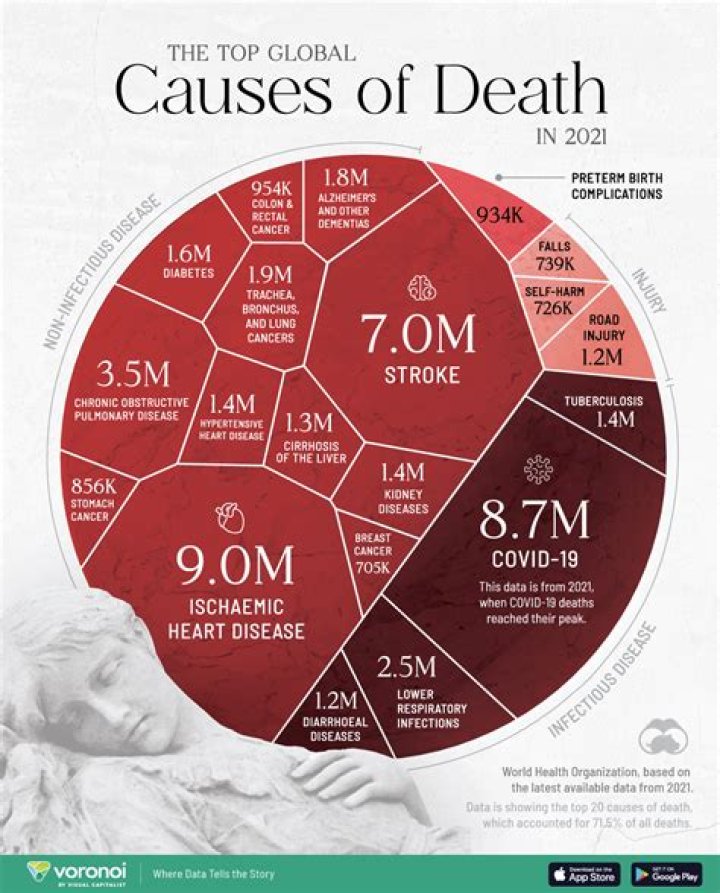 Death Cause, Date, And Age Revealed