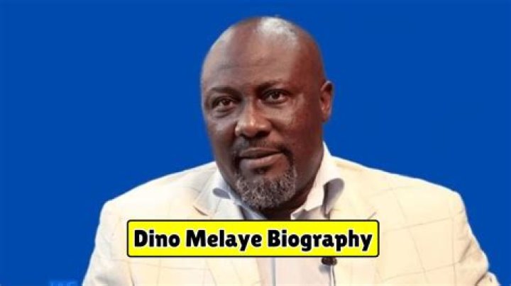 Dino Melaye's Biography And Net Worth