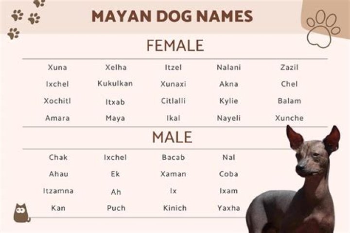 Discover Enchanting Tamil Dog Names For Male