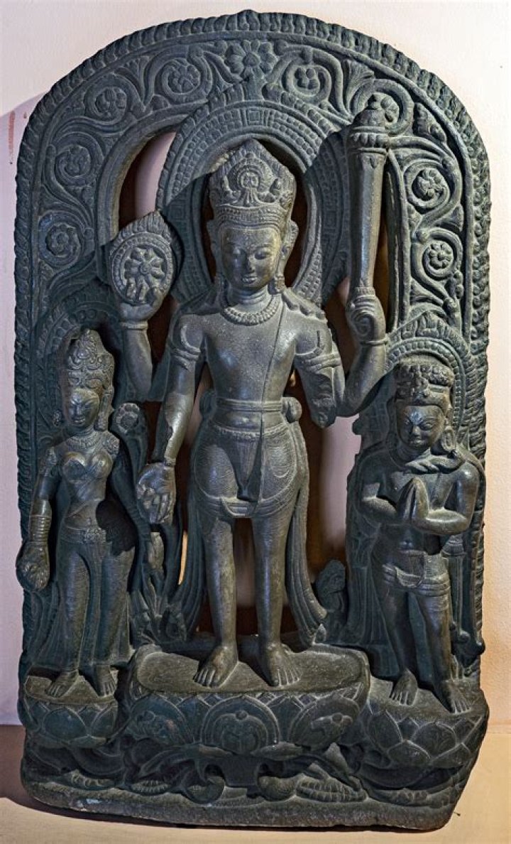 Discover The Cosmic Wisdom Of Professir Obie