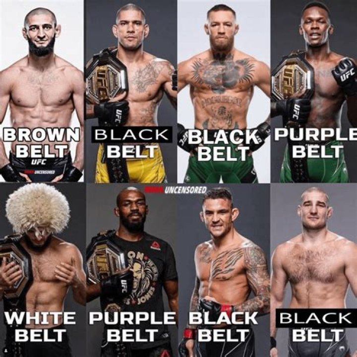 Discover The Five Wealthiest UFC Fighters Of 2020
