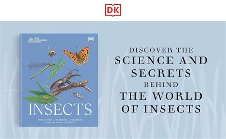 Discover The Secrets Behind The Hit Collaboration