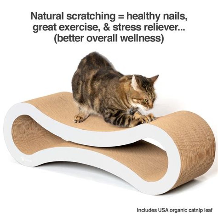 Discover The Ultimate Cat Scratch Post Paradise On Amazon: Insights And Secrets