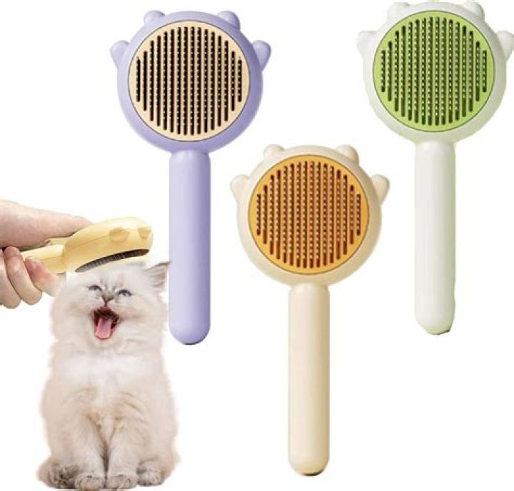 Discover The Ultimate Kitten Brush For A Silky, Tangle-Free