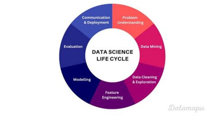 Discover The World Of Data Science With Niki Khalatbari Bijan