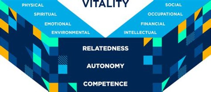 Discoveries And Insights In Vitality And Performance
