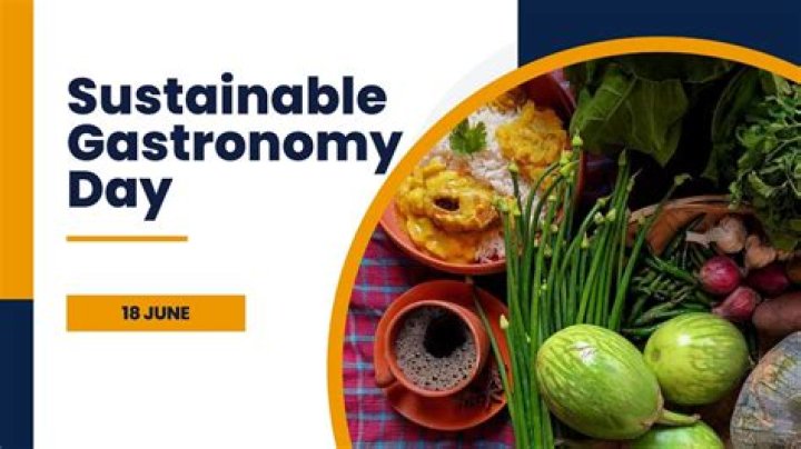 Discoveries And Insights Into Aaron May's Sustainable Gastronomy