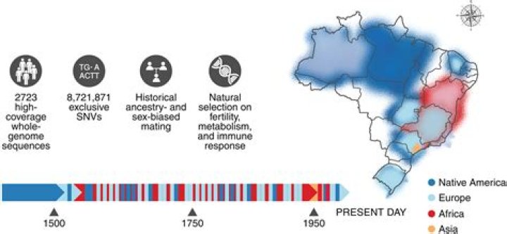 Discoveries And Insights Into His 2024 Net Worth