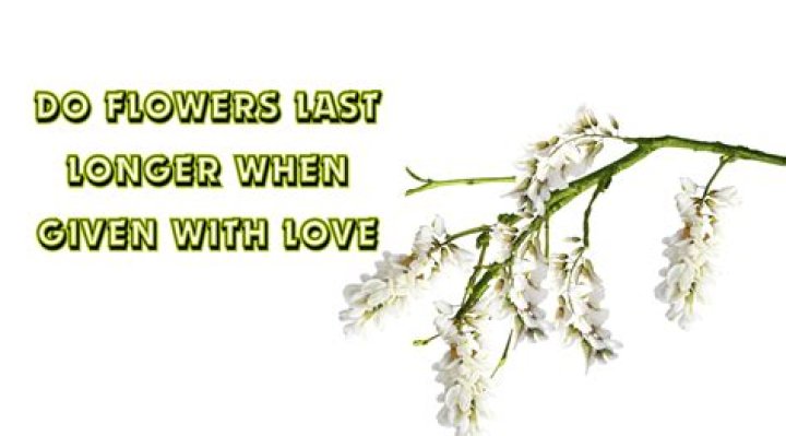 Do Flowers Given With Love Truly Blossom Longer?
