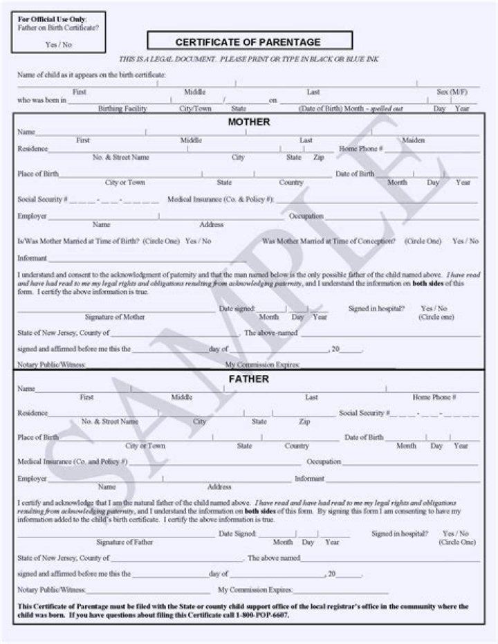 Does Tom Brady Pay Child Support? What We Know About High-Profile Family Agreements