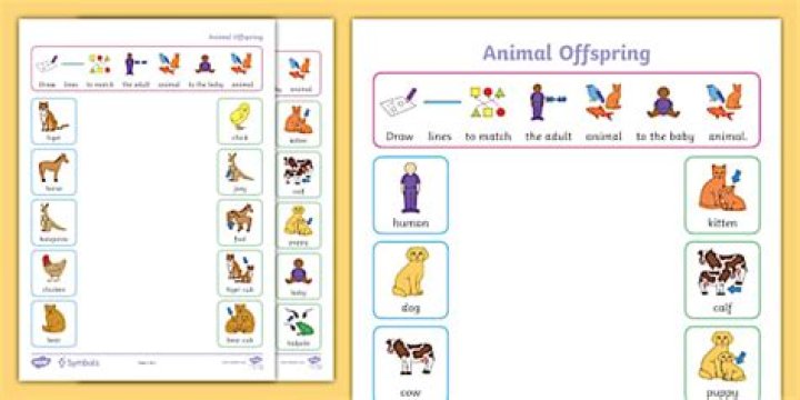 Does Wyful Actually Have a Kid? Unpacking the Question of Animal Offspring