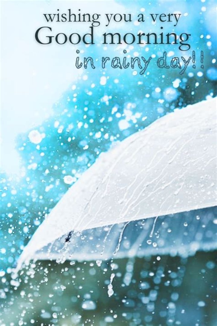 Embracing The Magic Of Rainy Season Good Mornings