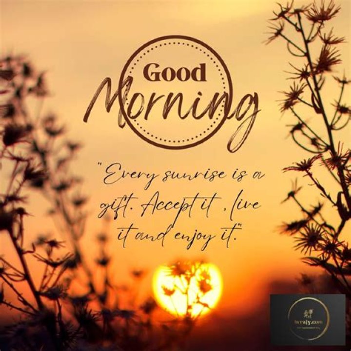 Embracing The Serenity Of A Raining Good Morning