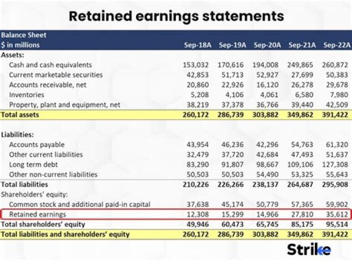 Exploring Assets, Earnings, And Financial Success