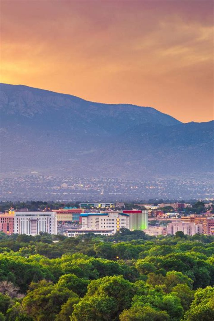 Exploring Diddy Kids' Net Worth: What You Should Know