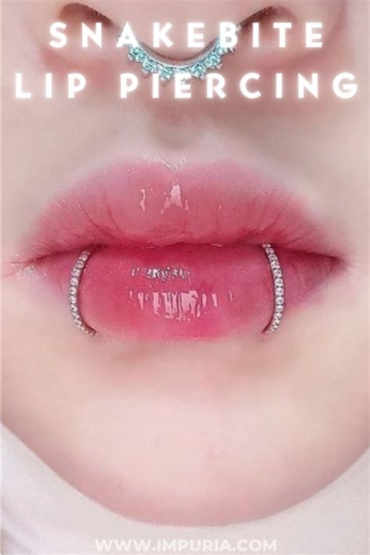 Exploring The Allure Of Snake Bite Piercings For Men