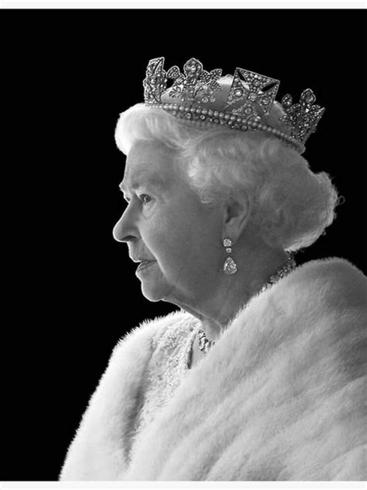 Exploring the **Elizabeth Olsen Film** Journey: From Indie Gems to Superhero Stardom