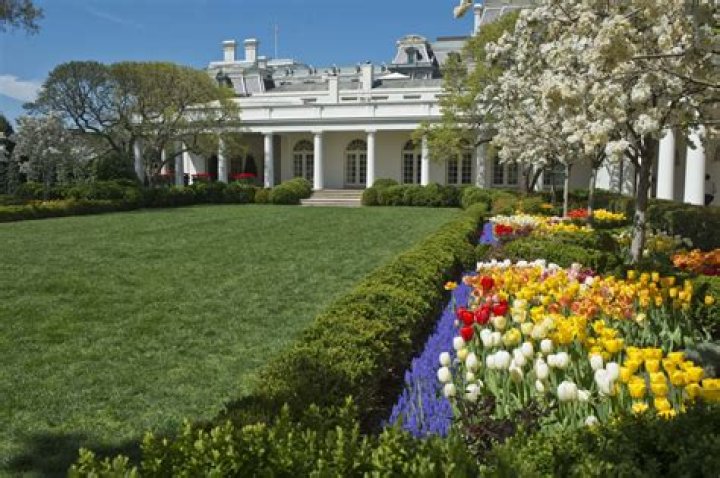 Exploring The Impact Of Rose Montoya At The White House