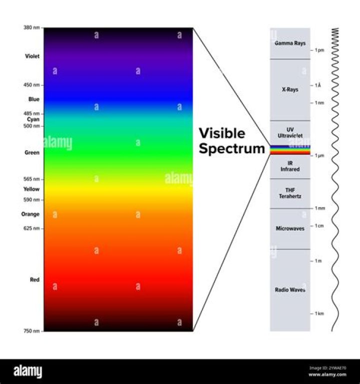 Exploring The Spectrum Of "Is Reacher On The Spectrum"
