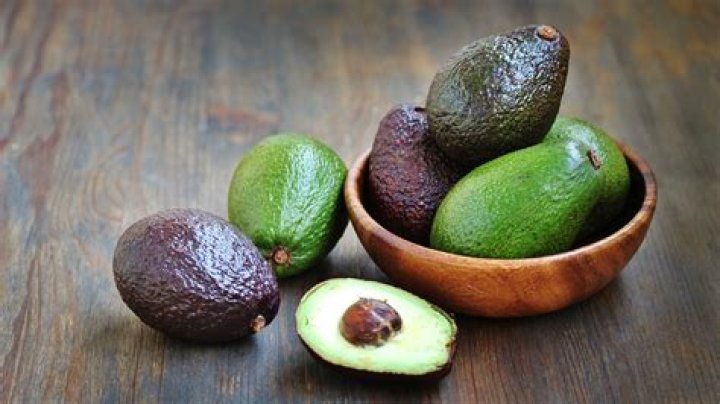 Exploring The World Of Nick Avocado: A Culinary Journey