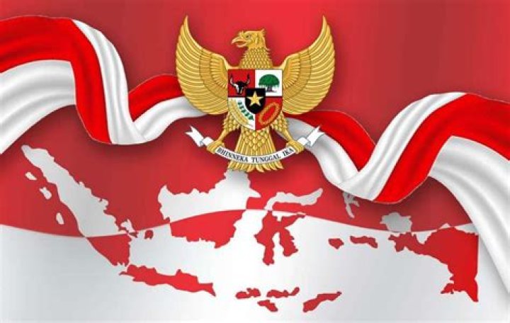 Fakta Dan Wawasan Yang Mengungkap