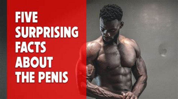 Five Surprising Facts You'll Love