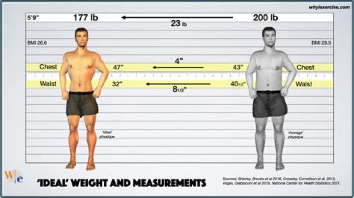 Height And Weight Insights For "5'8 140 Lbs Male"