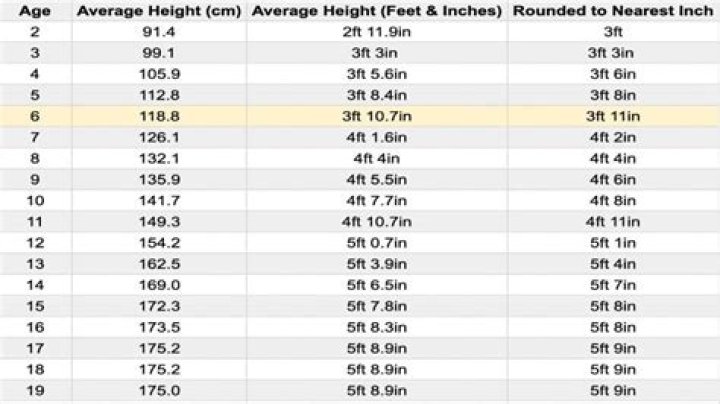 Height, Weight, And Measurements Unraveled!