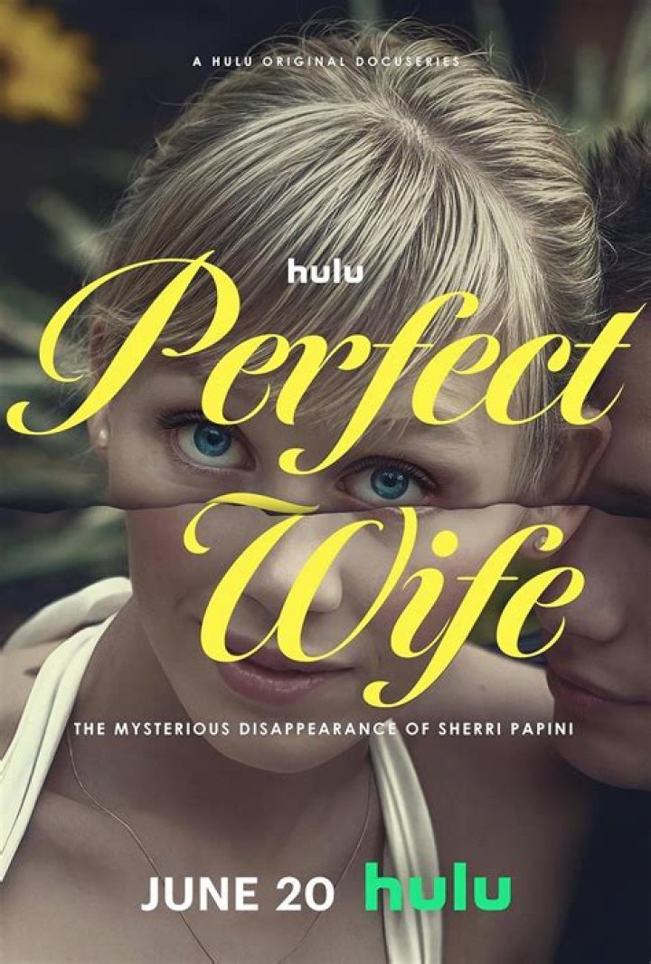 How Many Episodes of The Perfect Wife Aired on ABC? Unpacking the Series Length
