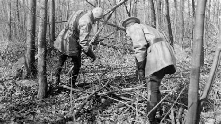 How Many People Confessed to the Lindbergh Kidnapping? Unpacking a Historical Mystery