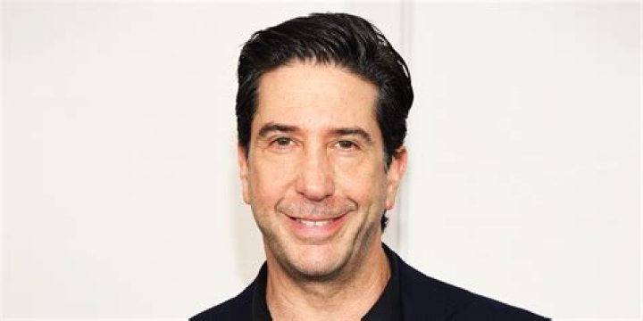 How Much is David Schwimmer? A Look at the Star's Earnings Today