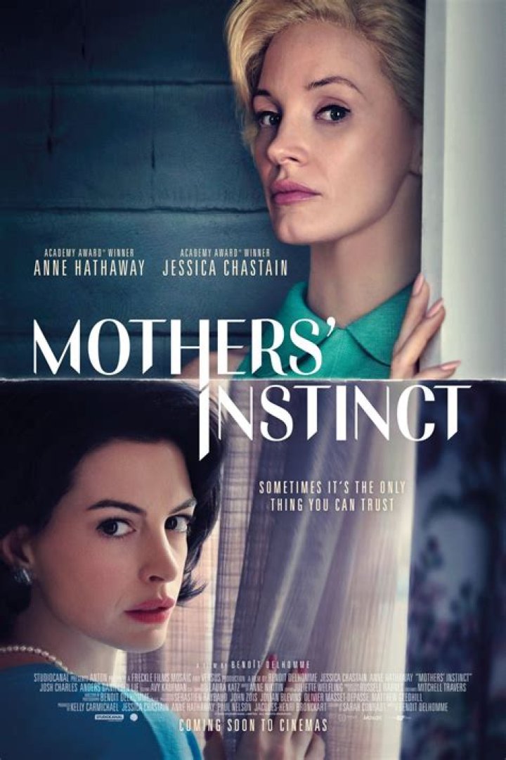 Inside The "Mothers' Instinct" Ending For Andi19