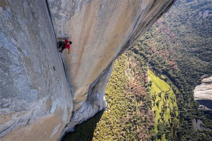 Is Alex Honnold Dead? Discoveries And Insights Revealed
