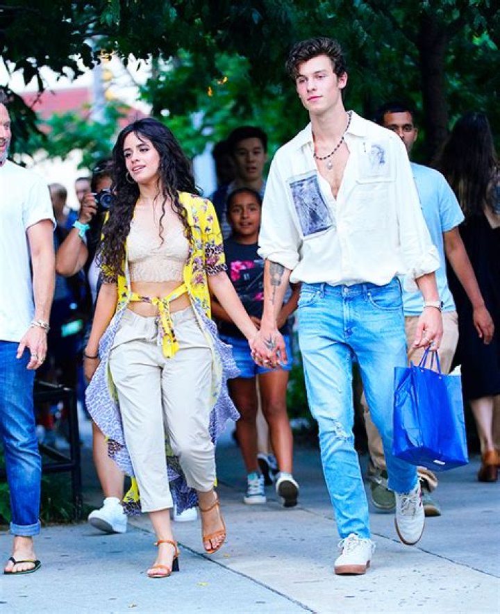Is Camila Cabello Going Out With Shawn Mendes? Unpacking the Latest Buzz