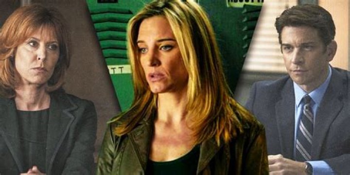 Is Jules a Lawyer? Unpacking the Truth About the Brand