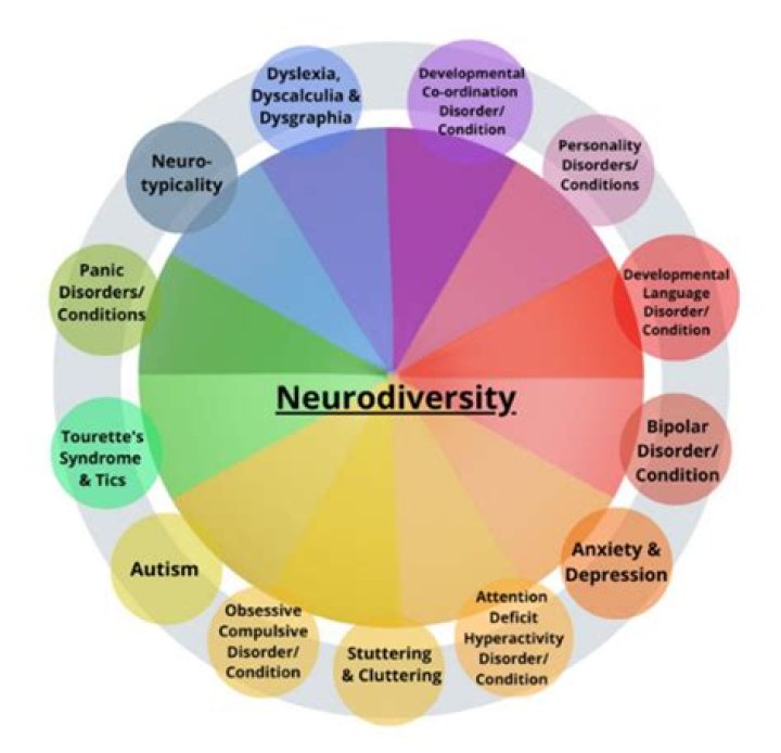 Is Zooey Deschanel ADHD? Exploring Public Perception and Neurodiversity